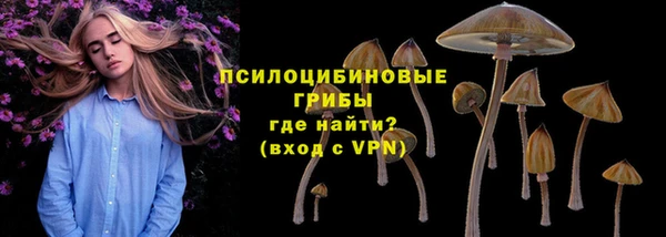 индика Армянск