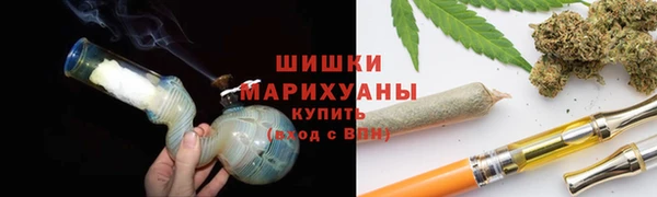 индика Армянск