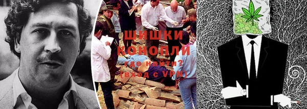эйфоретик Аркадак