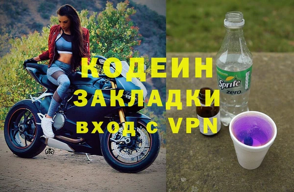 индика Армянск