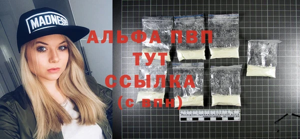 эйфоретик Аркадак
