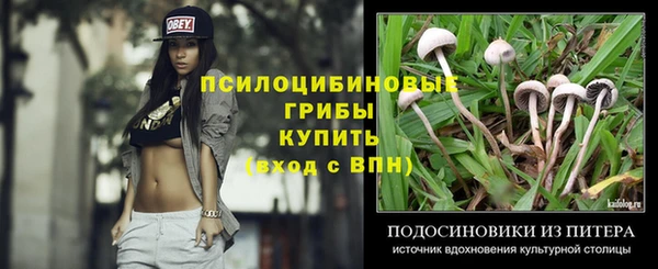 индика Армянск