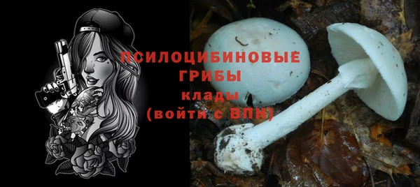 эйфоретик Аркадак