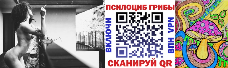 Псилоцибиновые грибы Psilocybine cubensis  Рузаевка 